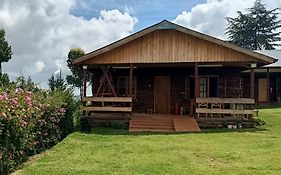 The Wonky House